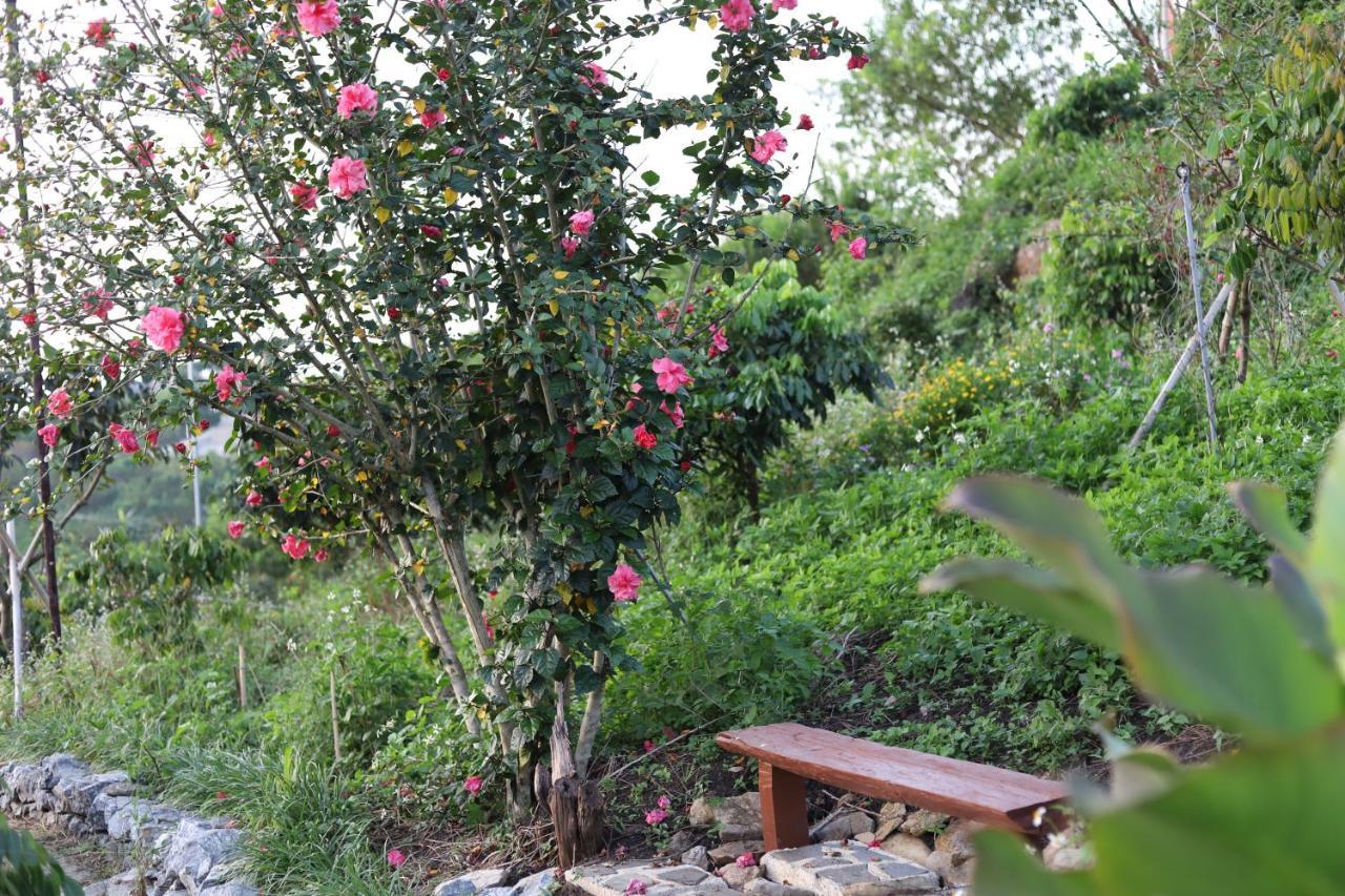 Moc Chau Peachy Garden 아파트 외부 사진