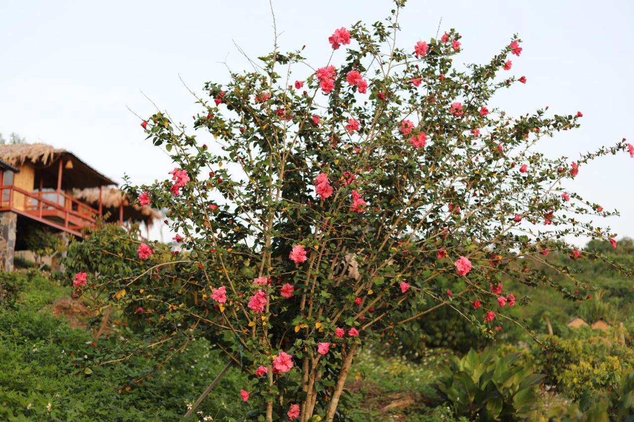 Moc Chau Peachy Garden 아파트 외부 사진