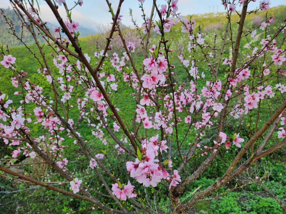 Moc Chau Peachy Garden 아파트 외부 사진