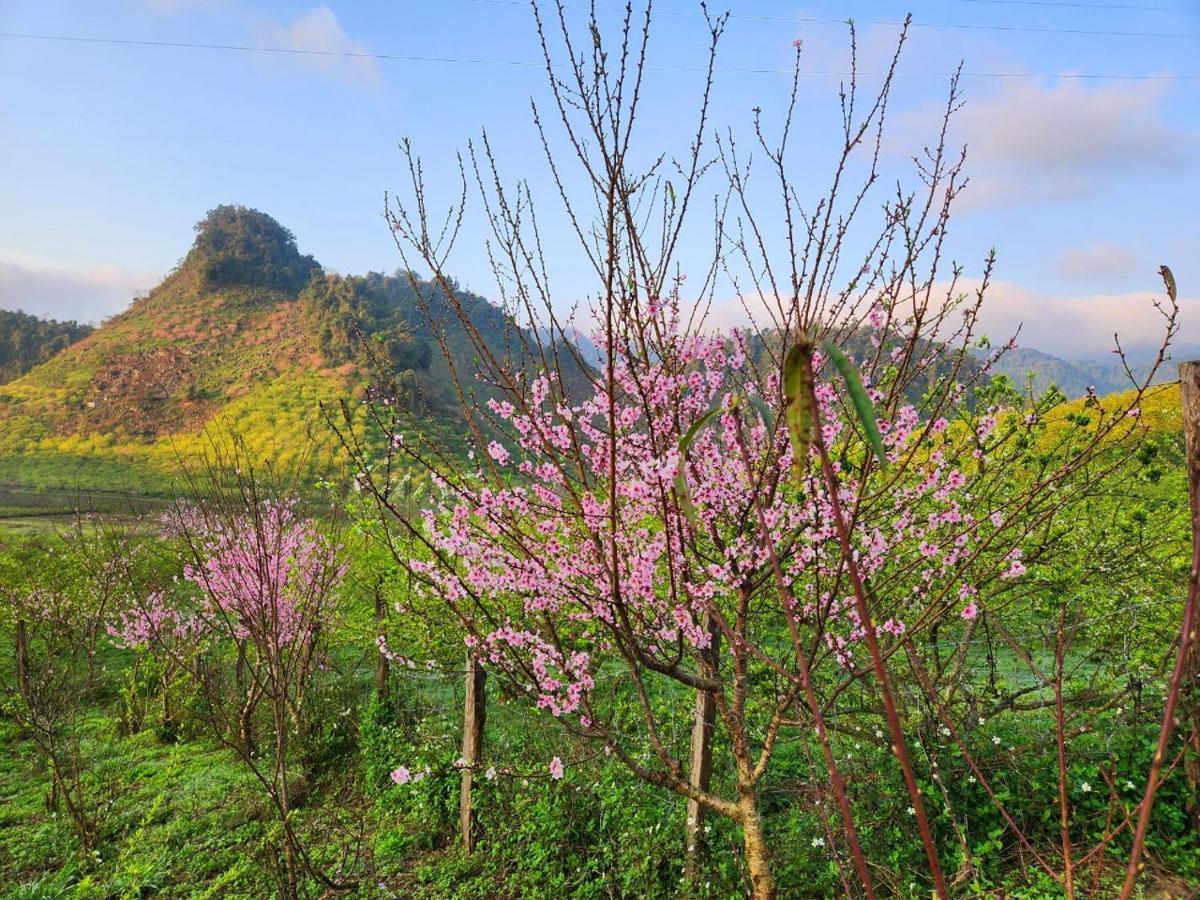 Moc Chau Peachy Garden 아파트 외부 사진