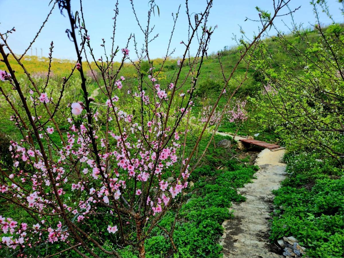 Moc Chau Peachy Garden 아파트 외부 사진