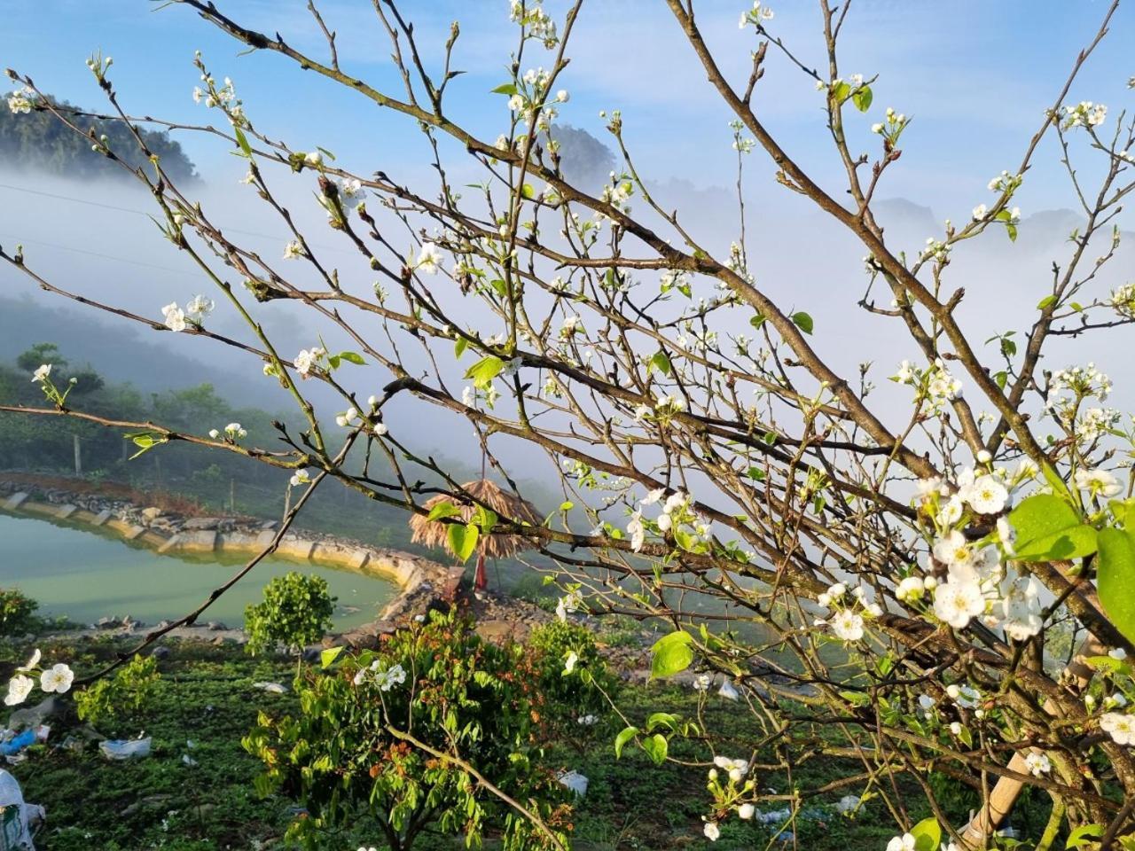 Moc Chau Peachy Garden 아파트 외부 사진